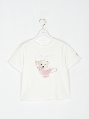 わんちゃんTシャツ