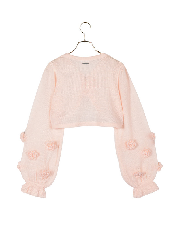 Rose Sheer Bolero 詳細画像 オフホワイト 11