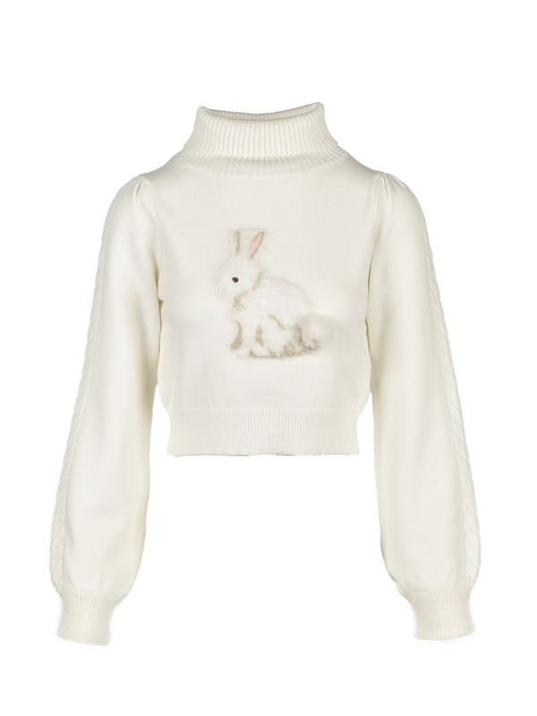 Lapin Turtleneck Knit 詳細画像 オフホワイト 1