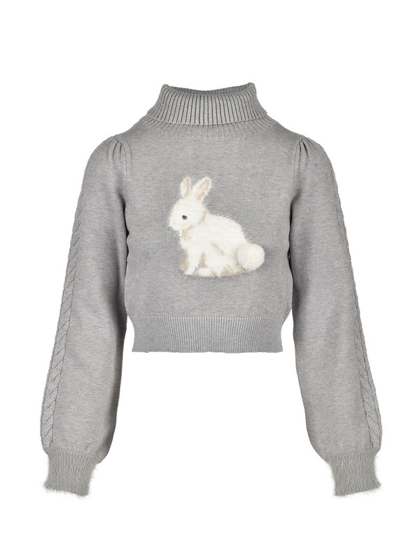 Lapin Turtleneck Knit 詳細画像 グレイ 1