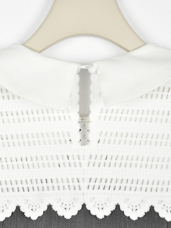 レースカラーフレアミニワンピース 詳細画像 ブラック 16