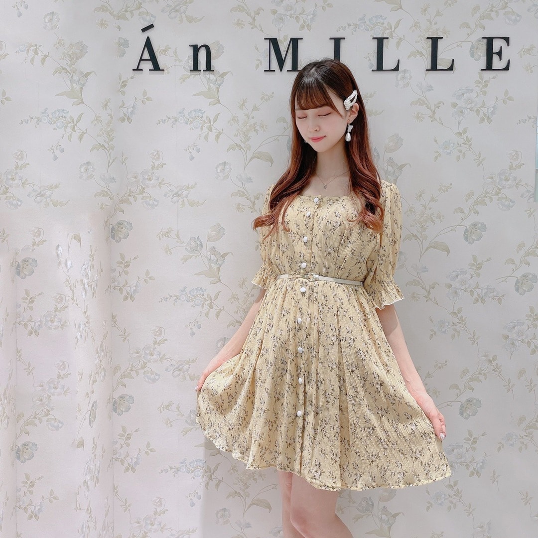 anmille-coordinate_223